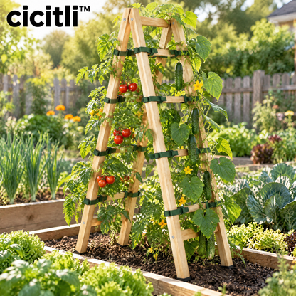 cicitli™ VineRise Modular Plant Trellis