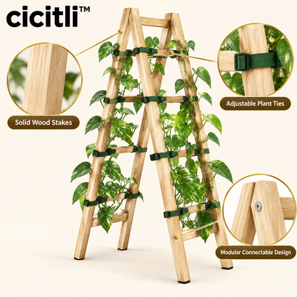 cicitli™ VineRise Modular Plant Trellis