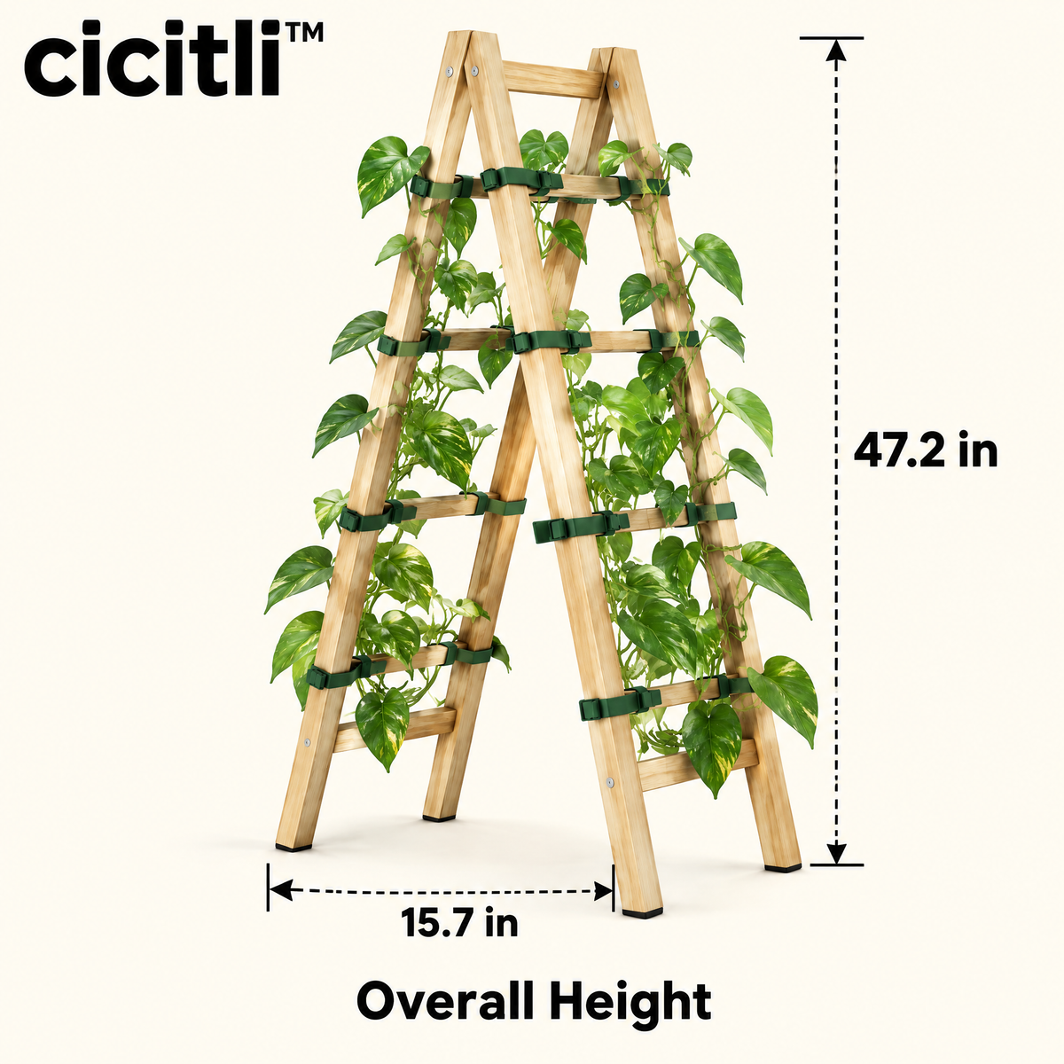 cicitli™ VineRise Modular Plant Trellis