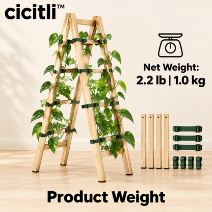 cicitli™ VineRise Modular Plant Trellis