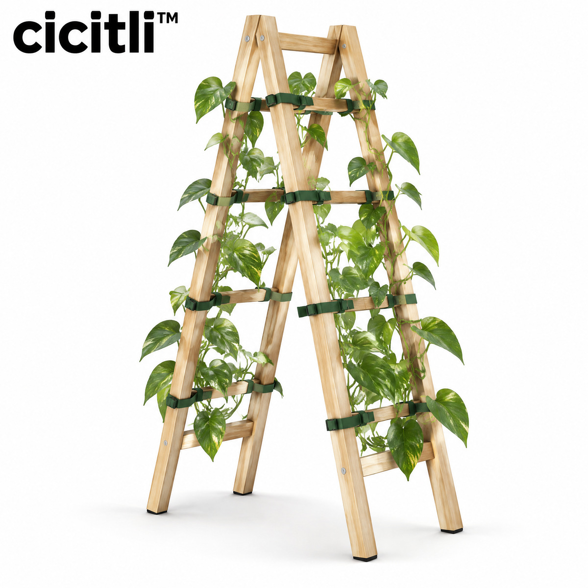 cicitli™ VineRise Modular Plant Trellis