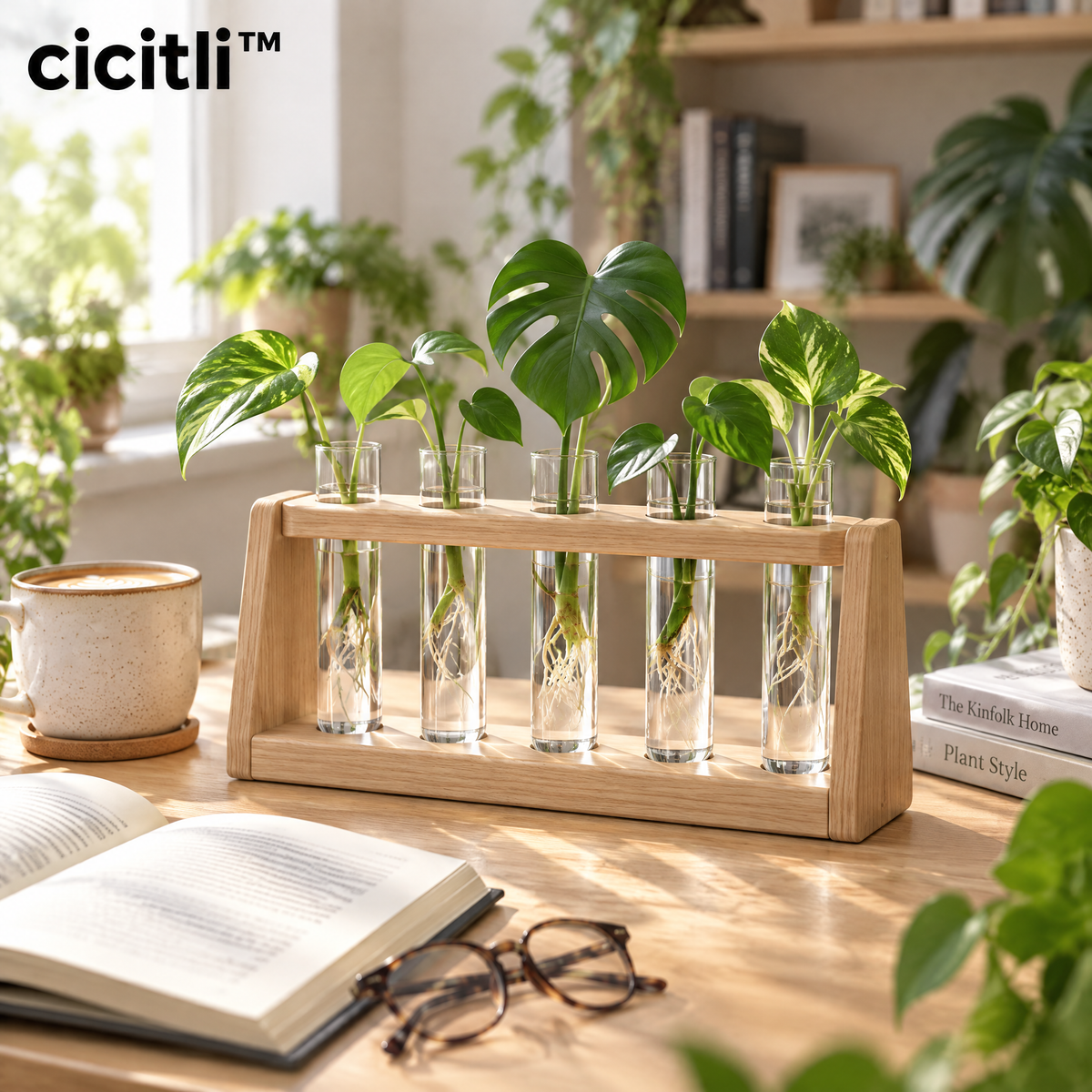 cicitli™ RootGlass Plant Propagation Station