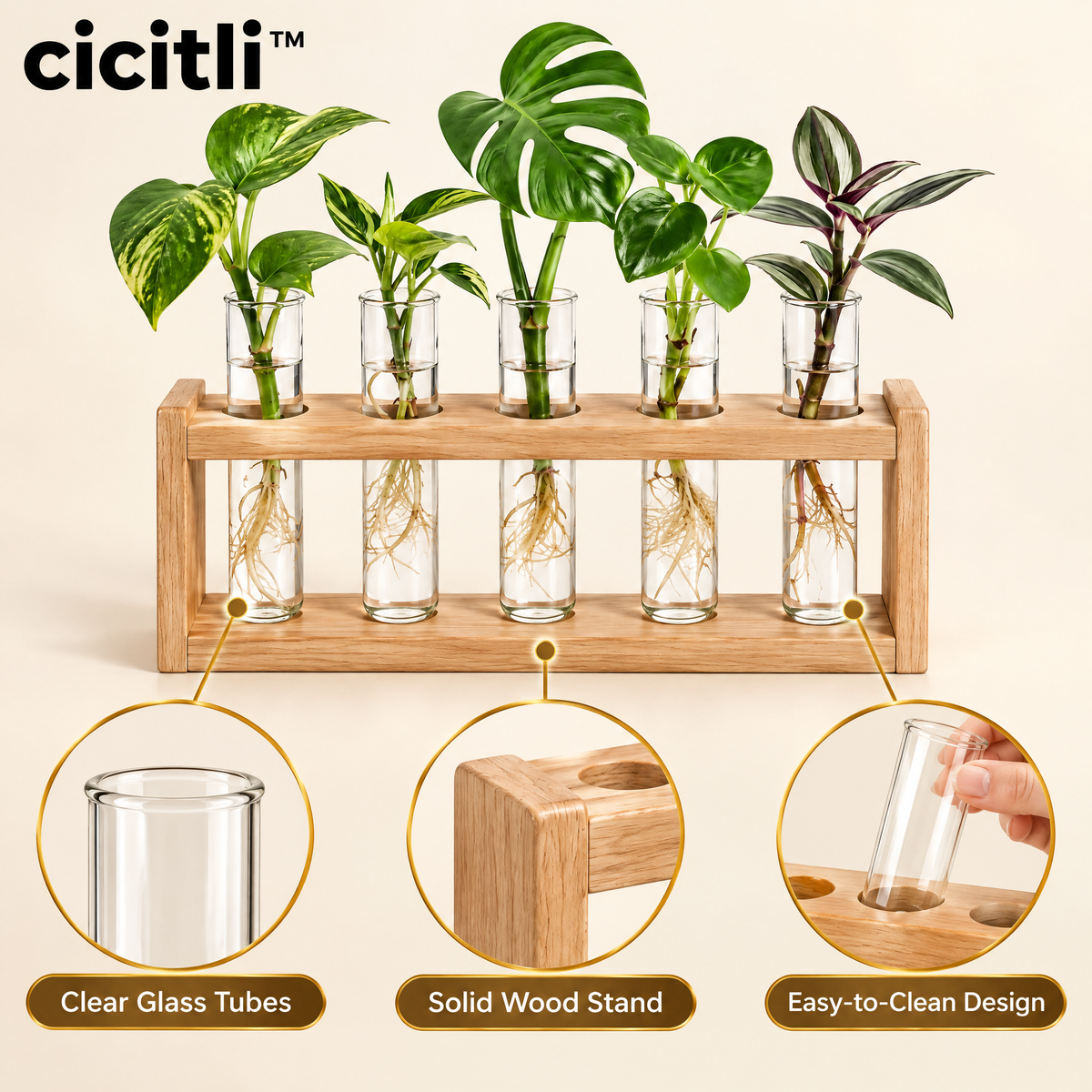 cicitli™ RootGlass Plant Propagation Station