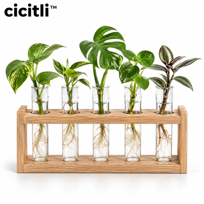 cicitli™ RootGlass Plant Propagation Station