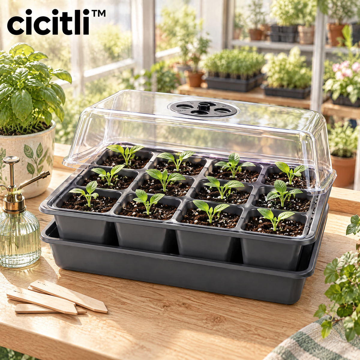 cicitli™ RootStart Seedling Tray System
