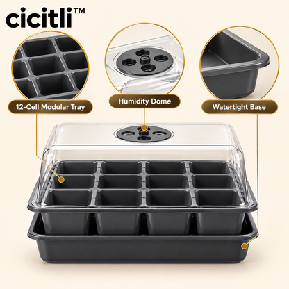 cicitli™ RootStart Seedling Tray System