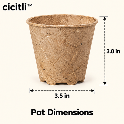 cicitli™ PlantPod Biodegradable Nursery Pots